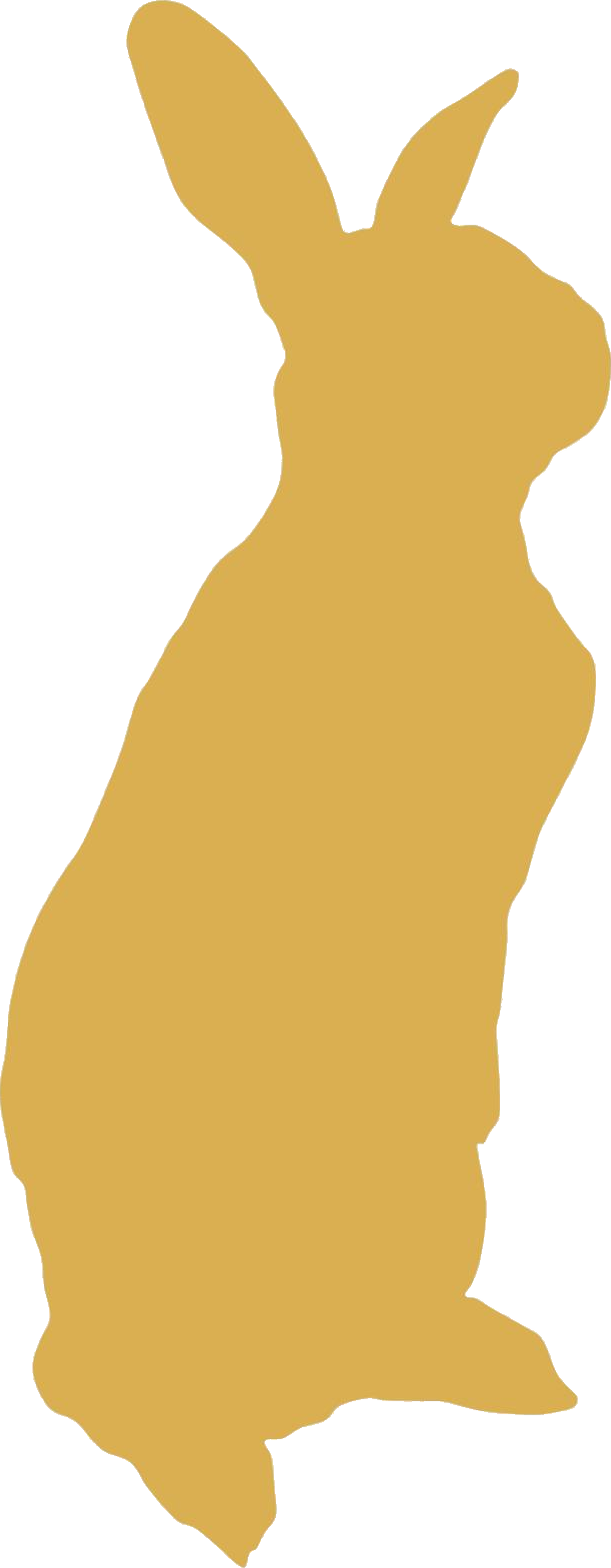 玉兔